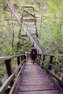 <b>Toxaway River Suspension Bridge</b>