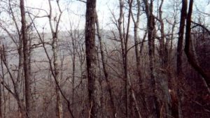 <b>Springer Mountain From The Approach Trail</b>