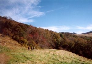 <b>Leaving The Shelter Area</b><br> It's a great day for hiking with temperatures in the 60's and plenty of sunshine.