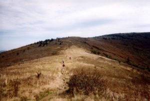 <b>The Balds</b><br> We never made it over the Hump Mountains, but the view from here looks pretty damn good.