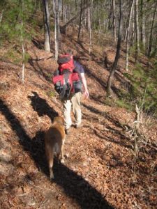 <b>Foothills/Chattooga River Trails</b><br> Here is Sikle hiking along the trail.