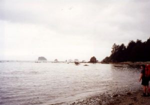 <b>Another View Of The Coast</b>