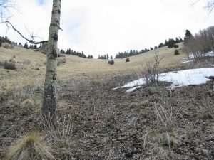 <b>The Three Rivers Canyon Bowl</b><br> Steep, cold, windy and mostly frozen solid.