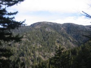 Great Smoky Mountain National Park - Mount LeConte