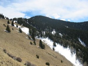 <b>The back of Three Rivers Canyon Bowl</b><br> Taken from the Mountain Lion kill site area, looking south toward Sierra Blanca