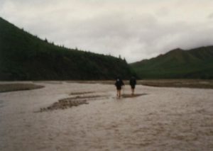 Denali National Park - Zone 31 And 32 - July 3, 1995