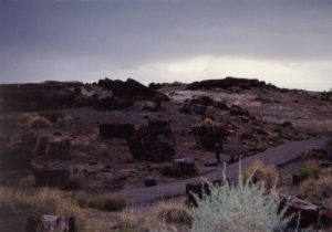 Petrified Forest National Park - July 27, 1996