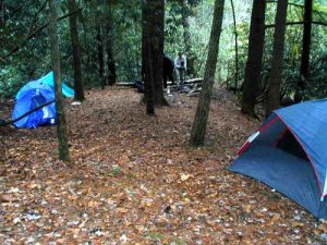 <b>Our Campsite Off The Chattooga River Trail</b>