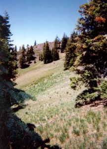 <b>Black Bear</b><br> The box camera warps the view a bit, but the black dot in the meadow is a black bear that came within 150 feet of us when we checked the view from a rock outcropping.