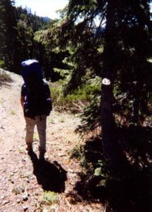 <b>Heading Out On The PCT.</b><br> Mackie hikes the PCT near Carter Meadows Summit.