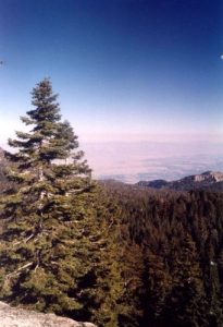 <b>Views From The Pacific Crest Trail</b>