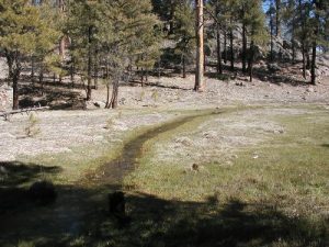 <b>Water, water everywhere</b><br> One of the inumerable small creeks feeding into Whitewater. This one is by Redstone Park.