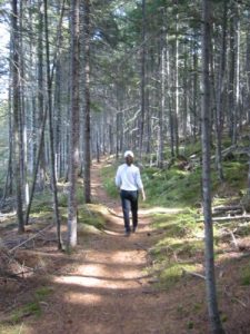 <b>The Trail Near Grassy Pond</b>