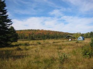 <b>A Meadow Campsite At Nesowadnehunk Campground</b>