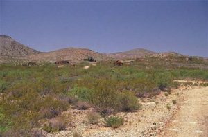 <b>Old Hachita from a distance</b><br> This gives you a little perspective on how much stuff remains to be seen.