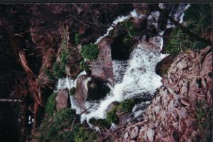 <b>Silver Creek</b><br> One of the many creeks which seem to run in every canyon in the Aldo.