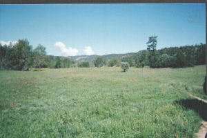 Mineral Creek - Gila National Forest