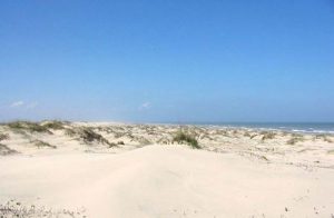 Padre Island National Seashore