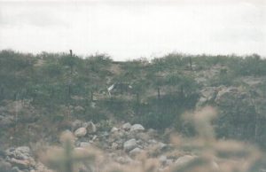 <b>Corral</b><br> This corral was used to contain the mules, which operated the aerial tram system.