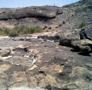 <b>Huecos</b><br> The small sink-like area in the foreground is a hueco (hollow). These fill with rain, and serve as a water source for weeks.