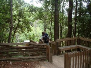 <b>Bearwallow Falls Hike</b><br> Decending to the Falls overlook