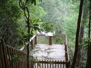 <b>Bearwallow Falls Hike</b><br> Falls overlook