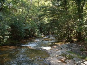 <b>Matthew's Creek</b><br> View of Matthew's Creek from our place