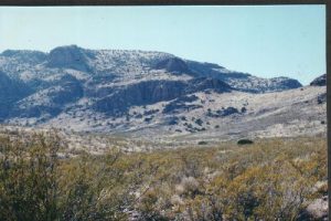 Rockhound State Park - Florida Mountains - April 16, 2004