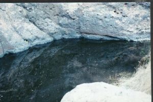 <b>Pool above mine</b><br> This stagnant pool is above the mine headframe at the South end of the Floridas. As far as I can tell, it is the only water in the southern end. Drank fine after filtering.