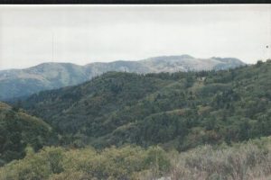 <b>Black Range looking South</b><br> View South from below the Fire Lookout tower