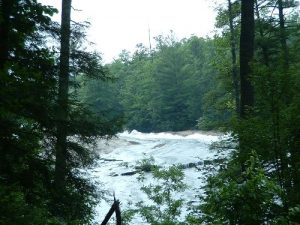 Various trails at Dupont State Forest - July 9, 2005