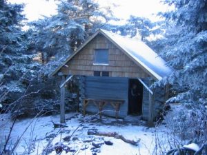 Appalachian Trail - Yellow Mountain Gap - November 24, 2004