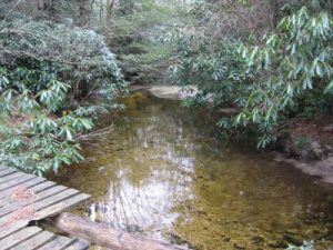 <b>The Creek From Schoolhouse Falls</b>