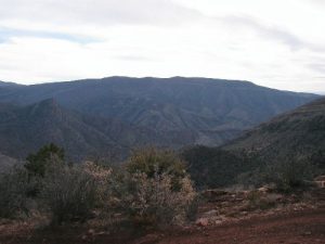 <b>Looking North from near the top</b><br> There is lots more forest north of Magdalena, with lots more mines to see.