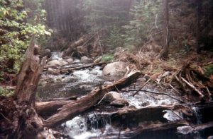 <b>Rio Bonito</b><br> This creek feeds Bonito Lake. You'll cross this one going in for your hike.