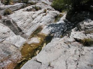 <b>The creek</b><br> This is in the hottest part of the summer, and it still has running water. This is one of the few dependable water sources on the West face of the Sacramento Mountains.