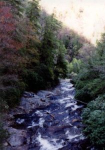 <b>View From The Suspension Bridge (Top Of The Falls)</b>