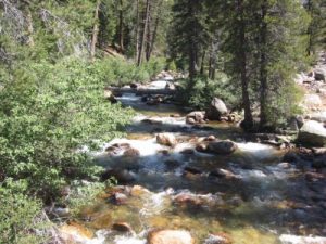 <b>Mono Creek</b><br> Here's a look at Mono Creek from a bridge on the PCT/JMT.