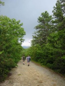 <b>The Trail Near Panthertown Creek</b>