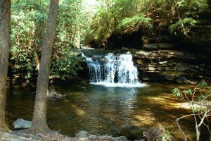 <b>Small Falls</b><br> Small falls within the first quarter of a mile on the trail.