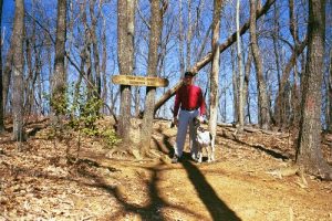 <b>At Summit</b><br> Here we are at the summit - 3124'