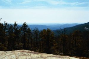 <b>Below Summit</b><br> This is a 'bald spot' about a half mile before you reach the summit looking South.