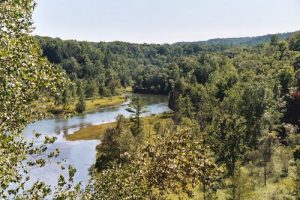 <b>Manistee River 2</b><br> Another view from the trail on the East bank.