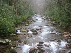 <b>Yep, We Had To Ford This Stream And Fell In</b>