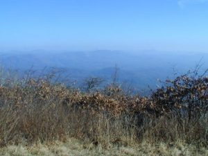 <b>View From Rabun Bald</b>