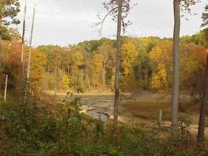 <b>A creek rolling into Falls Lake</b>