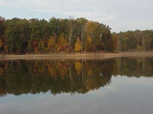 <b>Changing foliage on Falls Lake</b>