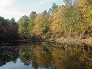 <b>Small pond off of Falls Lake Trail</b>