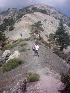 Manker Flat to Baldy Notch, Devil's Backbone, Mt. San Antonio