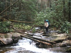 <b>The Rooster Searches For A Creek Crossing</b>